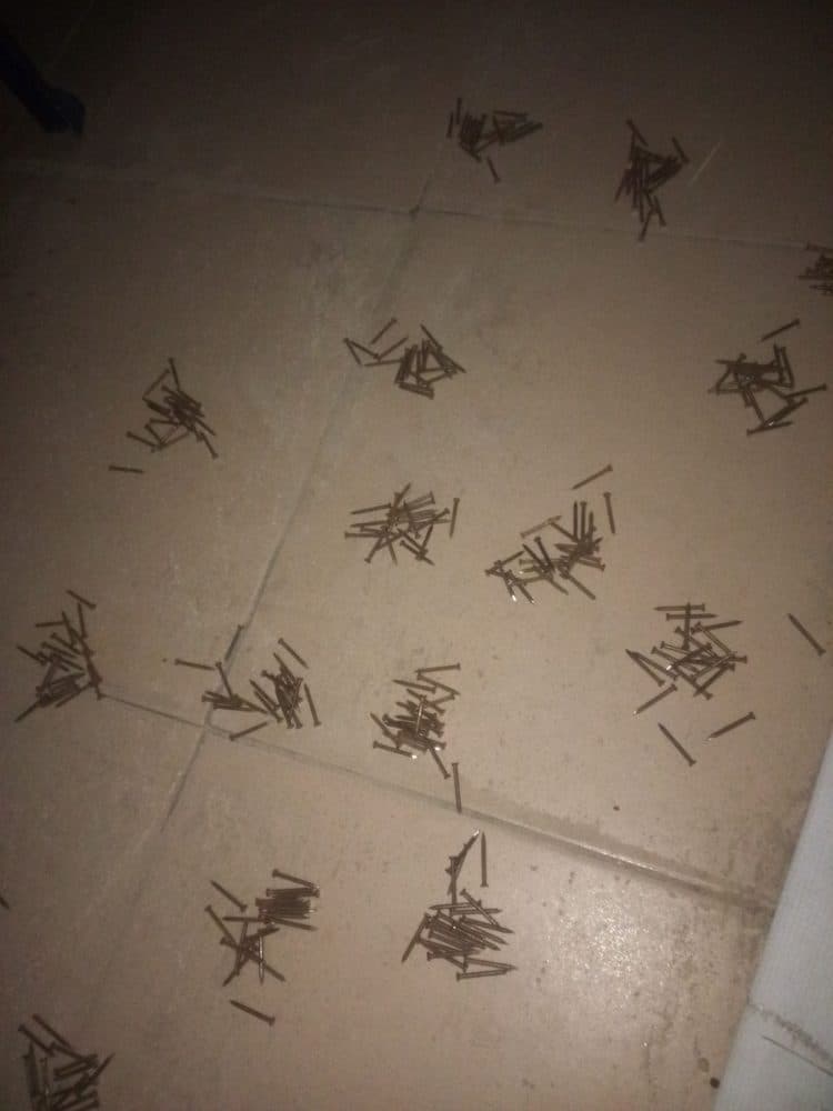 1mm Nails (Carton)